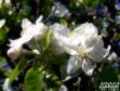 tn_gallery_8040_314_51102.jpg