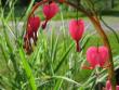tn_gallery_1308_50_12156.jpg