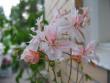 tn_gallery_1308_58_16004.jpg