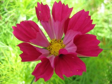 gallery_1308_13_30100.jpg
