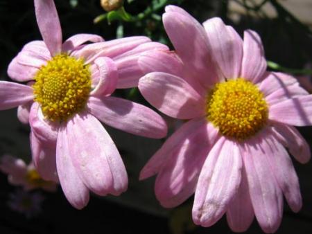 gallery_1308_13_41043.jpg