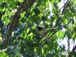 tn_gallery_1308_35_71758.jpg