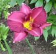 tn_gallery_14_40_23956.jpg