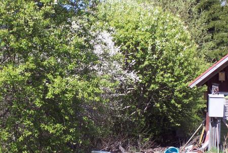 gallery_6203_374_32002.jpg