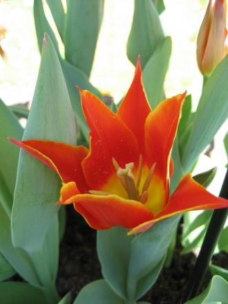 gallery_8205_8_440.jpg
