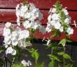 tn_gallery_14_46_31794.jpg