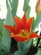 tn_gallery_8205_8_440.jpg