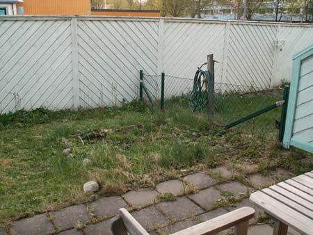 gallery_10147_371_41629.jpg