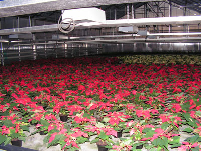 gallery_10184_387_27862.jpg