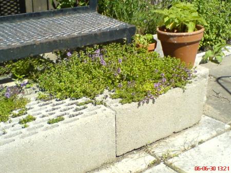 gallery_329_396_92451.jpg