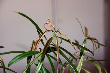 gallery_4816_392_4718.jpg