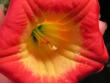 tn_gallery_10184_387_5669.jpg