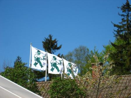 gallery_4113_400_63236.jpg