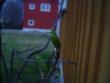 tn_gallery_3388_401_17521.jpg