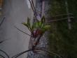 tn_gallery_3388_401_38602.jpg