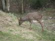 tn_gallery_8471_277_320054.jpg