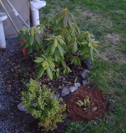 gallery_3388_410_96511.jpg