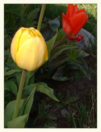 gallery_5397_416_17644.jpg