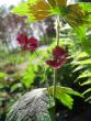 tn_gallery_1308_44_56450.jpg