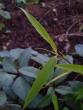 tn_gallery_3388_410_22788.jpg