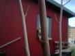 tn_gallery_3388_410_27350.jpg