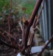 tn_gallery_3388_410_35762.jpg