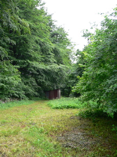 gallery_7106_420_15889.jpg