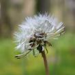 tn_gallery_2441_402_13504.jpg