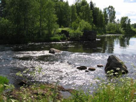 gallery_1308_411_23252.jpg