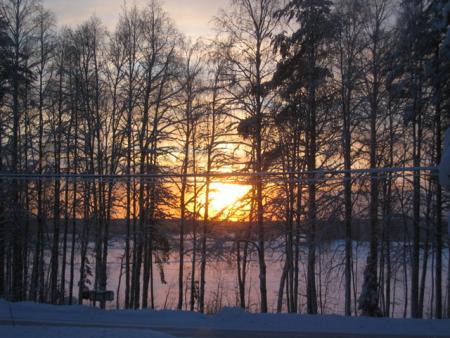 gallery_1308_411_85110.jpg