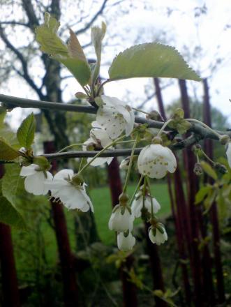 gallery_7106_423_21304.jpg