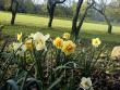 tn_gallery_7106_423_378.jpg