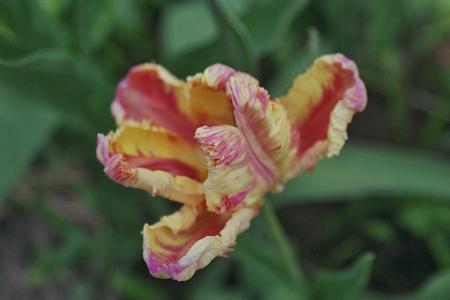 gallery_10307_439_70502.jpg