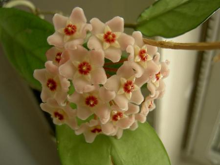 gallery_1251_274_4860.jpg