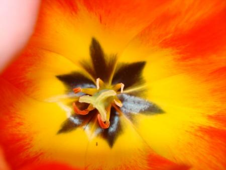 gallery_8559_310_49103.jpg