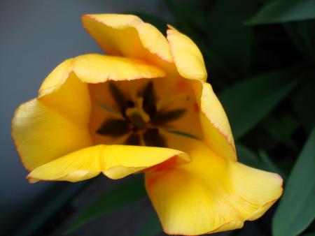gallery_8559_310_7829.jpg
