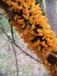 tn_gallery_10120_441_39839.jpg