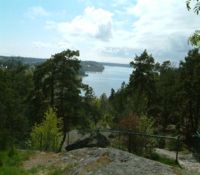 gallery_7440_28_38963.jpg