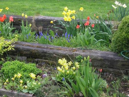 gallery_5006_197_52600.jpg