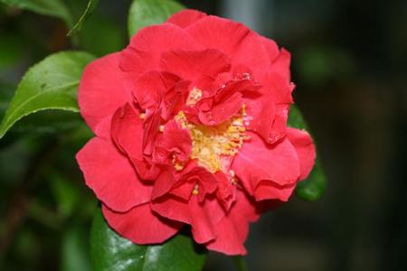 gallery_5447_447_23036.jpg