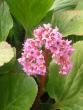 tn_gallery_5006_197_28446.jpg