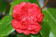 tn_gallery_5447_447_38340.jpg
