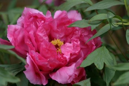 gallery_5447_39_32437.jpg
