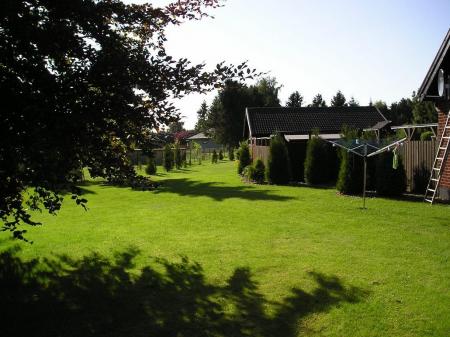 gallery_8110_453_146645.jpg