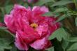 tn_gallery_5447_39_32437.jpg