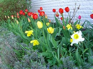 gallery_9939_452_20162.jpg