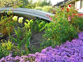 gallery_9939_452_20764.jpg