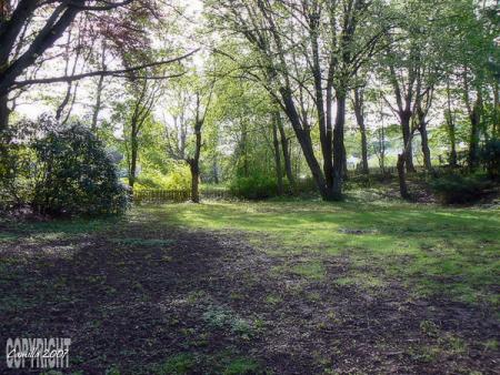 gallery_8040_473_133955.jpg