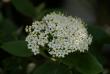 tn_gallery_5447_41_42332.jpg