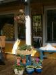 tn_gallery_941_137_29254.jpg